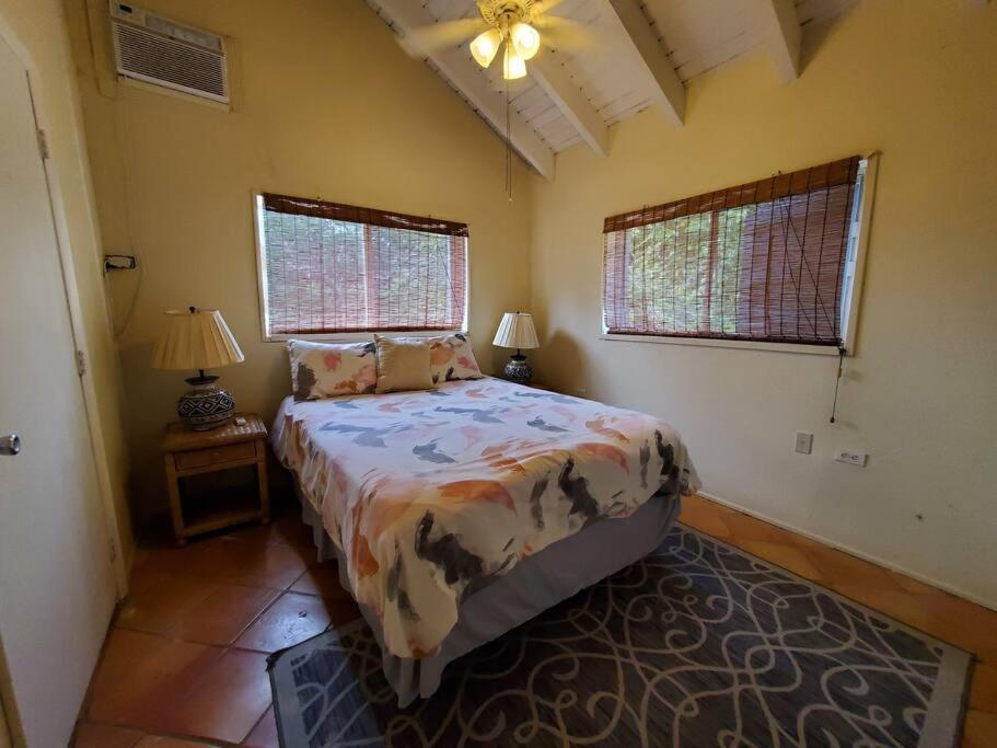 The Cottage At Villa Indigo Charlotte Amalie Zewnętrze zdjęcie