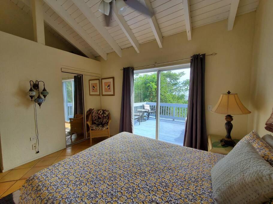 The Cottage At Villa Indigo Charlotte Amalie Zewnętrze zdjęcie