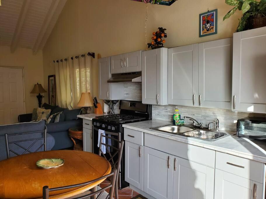 The Cottage At Villa Indigo Charlotte Amalie Zewnętrze zdjęcie